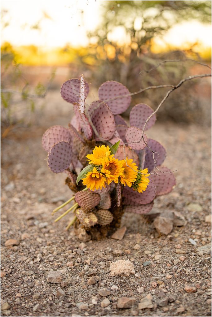 mauve colored cactus with fresh cut sunflowers in the desert. Colors Kimberly Martindale Photography uses to help clients choose what to wear in a photo session 